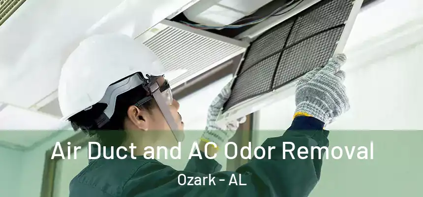 Air Duct and AC Odor Removal Ozark - AL