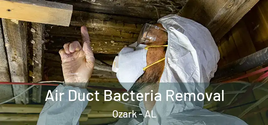  Air Duct Bacteria Removal Ozark - AL