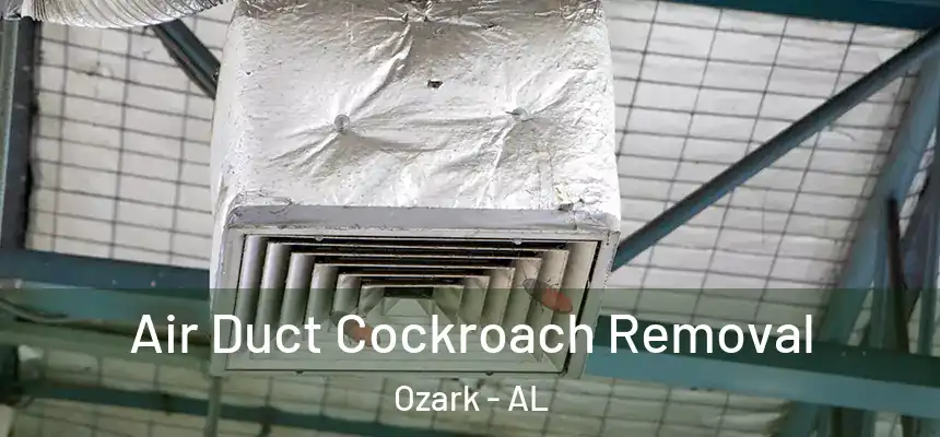 Air Duct Cockroach Removal Ozark - AL
