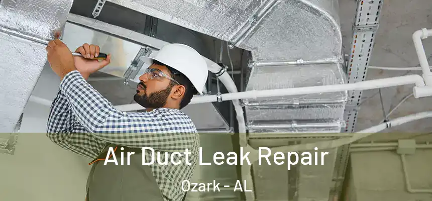 Air Duct Leak Repair Ozark - AL