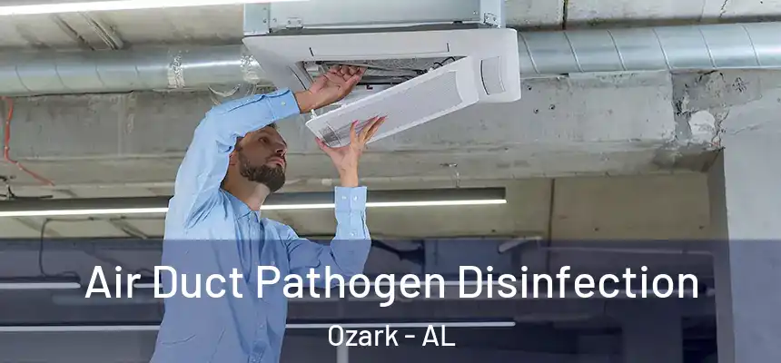 Air Duct Pathogen Disinfection Ozark - AL