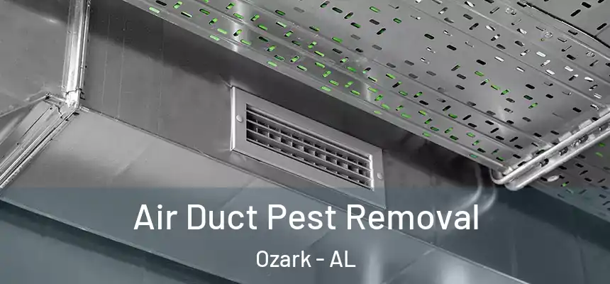 Air Duct Pest Removal Ozark - AL