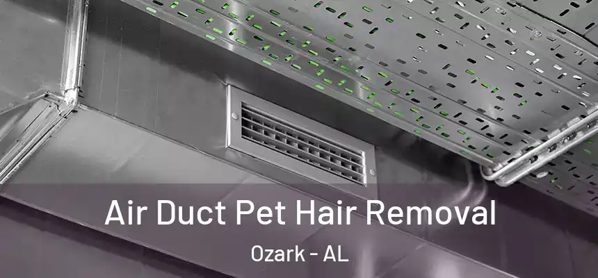 Air Duct Pet Hair Removal Ozark - AL