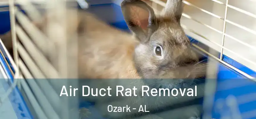 Air Duct Rat Removal Ozark - AL