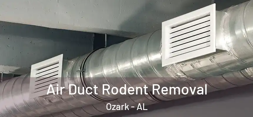 Air Duct Rodent Removal Ozark - AL