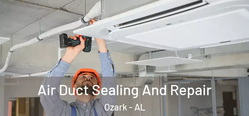 Air Duct Sealing And Repair Ozark - AL