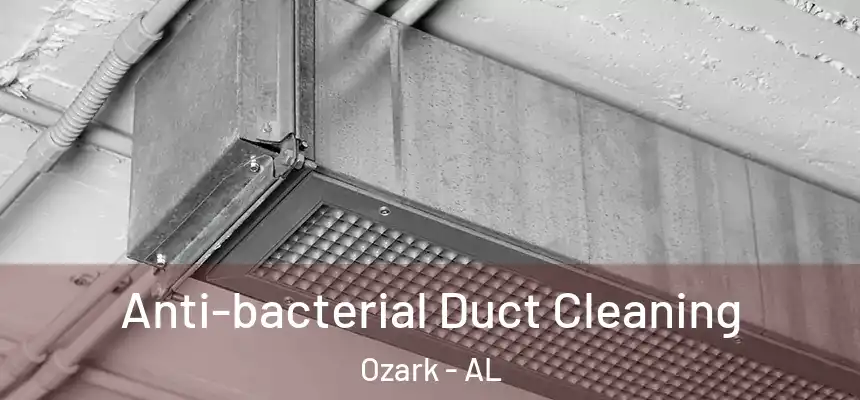  Anti-bacterial Duct Cleaning Ozark - AL