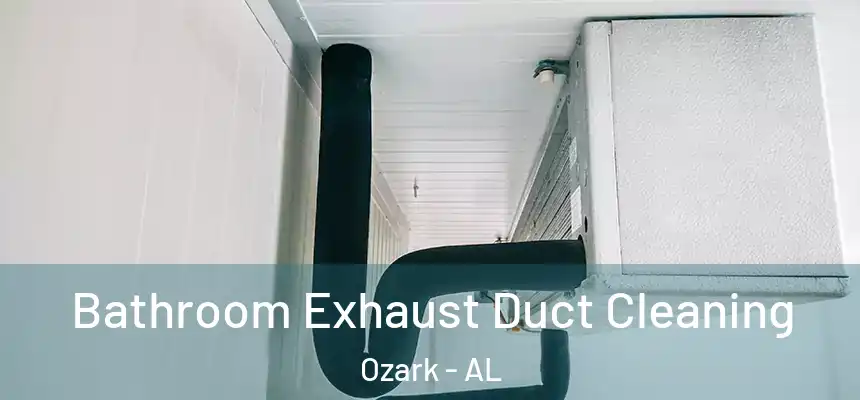 Bathroom Exhaust Duct Cleaning Ozark - AL