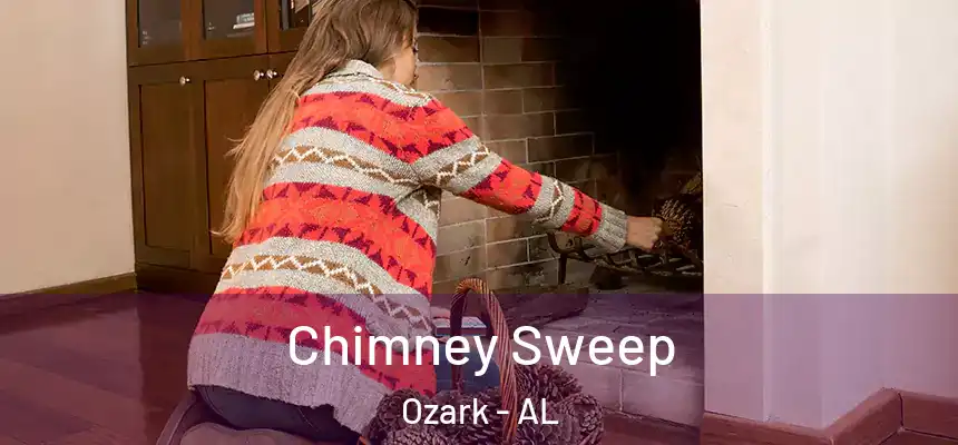  Chimney Sweep Ozark - AL