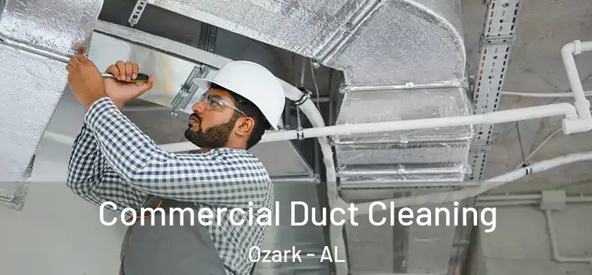 Commercial Duct Cleaning Ozark - AL