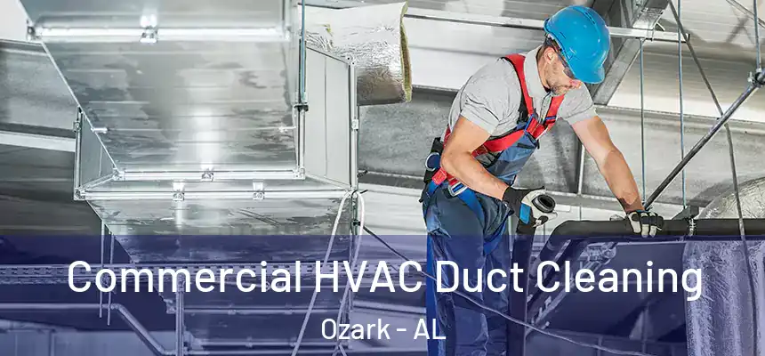 Commercial HVAC Duct Cleaning Ozark - AL