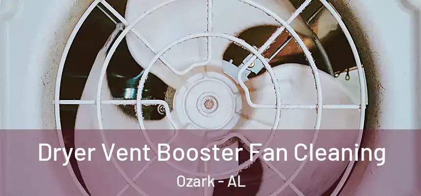  Dryer Vent Booster Fan Cleaning Ozark - AL