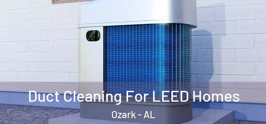 Duct Cleaning For LEED Homes Ozark - AL