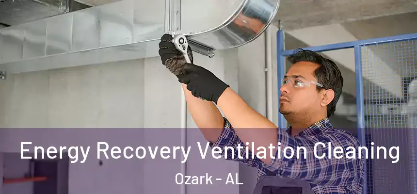 Energy Recovery Ventilation Cleaning Ozark - AL
