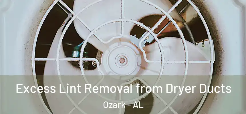 Excess Lint Removal from Dryer Ducts Ozark - AL