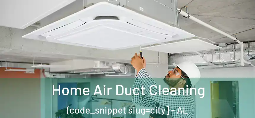  Home Air Duct Cleaning (code_snippet slug=city] - AL