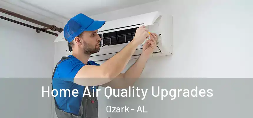Home Air Quality Upgrades Ozark - AL