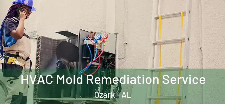 HVAC Mold Remediation Service Ozark - AL
