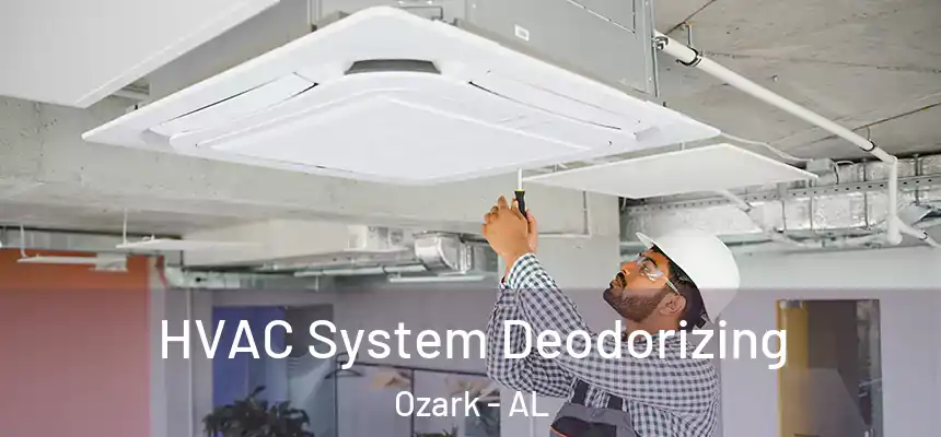 HVAC System Deodorizing Ozark - AL