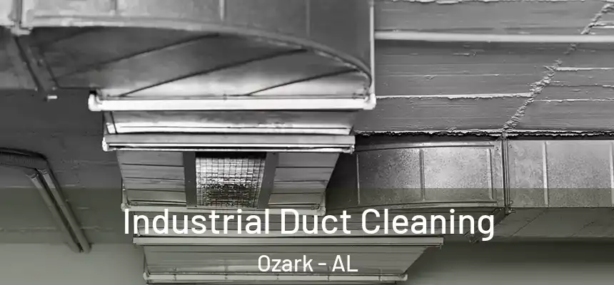 Industrial Duct Cleaning Ozark - AL