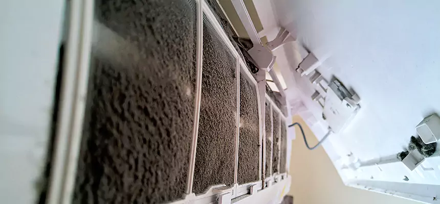 Preventive Air Duct Bacteria Removal in Ozark