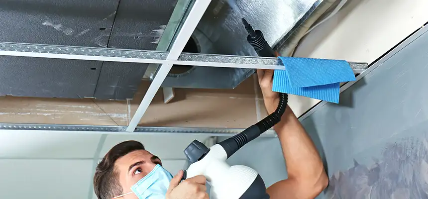 Our Air Duct Rodent Removal Services in Ozark, AL