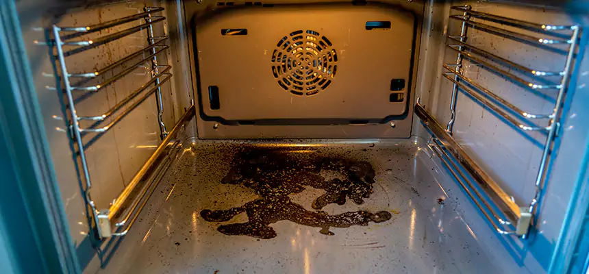 Our Dryer Vent Mold Cleaning Services in Ozark, AL