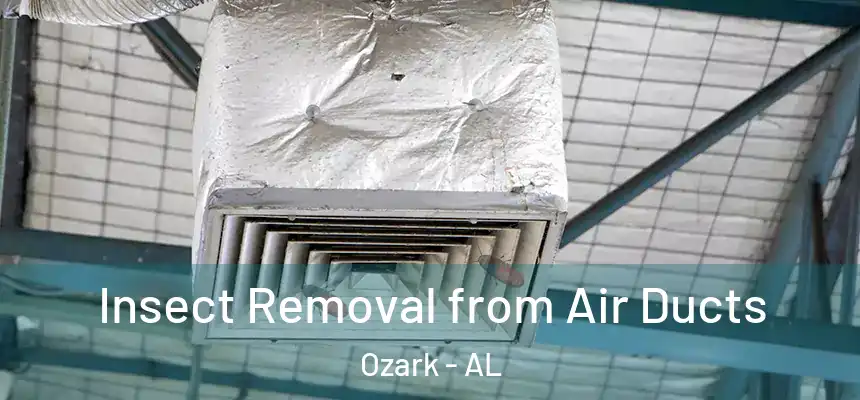Insect Removal from Air Ducts Ozark - AL