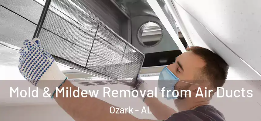 Mold & Mildew Removal from Air Ducts Ozark - AL