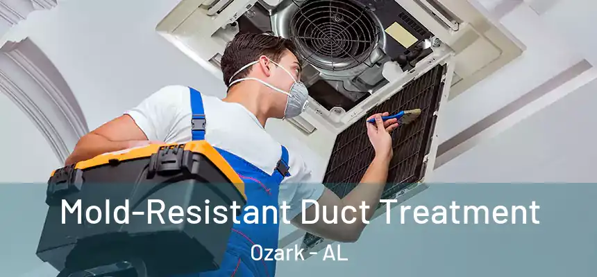Mold-Resistant Duct Treatment Ozark - AL