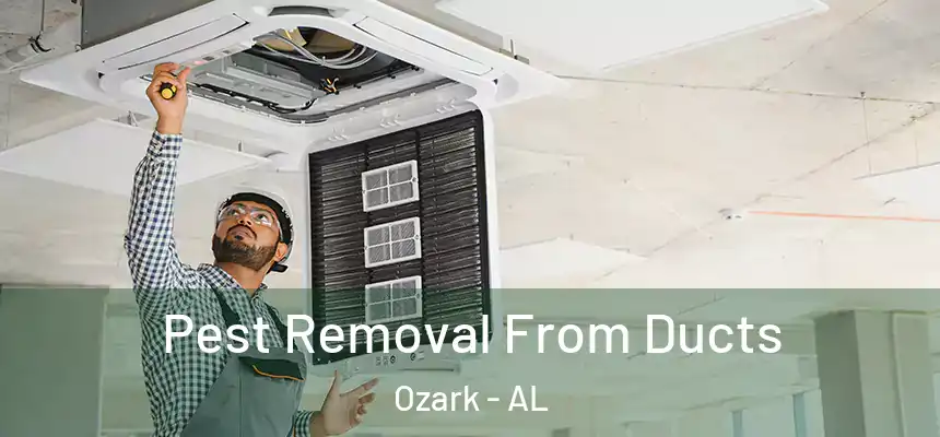 Pest Removal From Ducts Ozark - AL