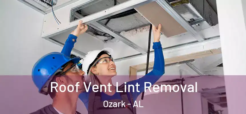 Roof Vent Lint Removal Ozark - AL