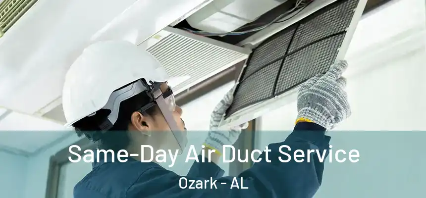 Same-Day Air Duct Service Ozark - AL