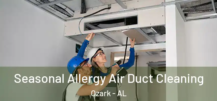 Seasonal Allergy Air Duct Cleaning Ozark - AL