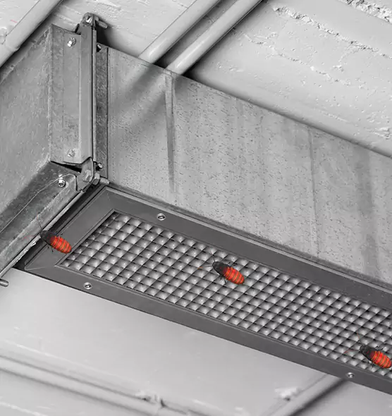About Air Duct Cockroach Removal in Ozark, AL