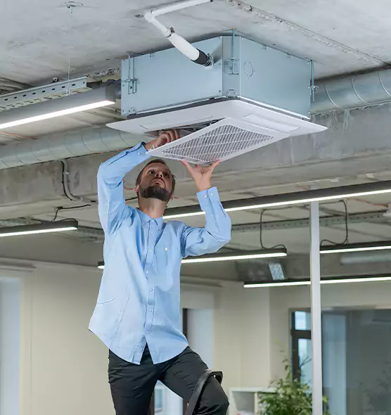 Advanced Rodent Droppings In Vents in Ozark, AL
