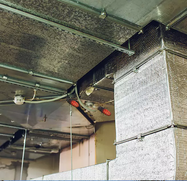 Why Homeowners & Businesses Trust Us in Ozark, AL?