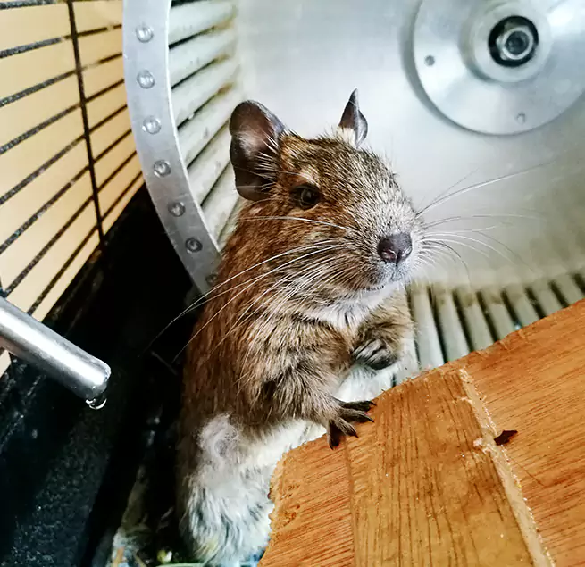 Why Homeowners & Businesses Trust Us Ozark, AL