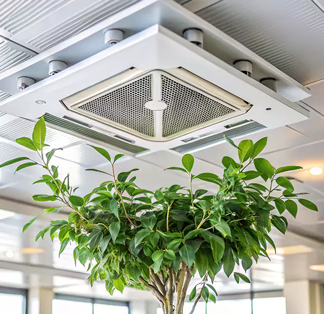 Why Homeowners & Businesses Trust Us in Ozark, AL?