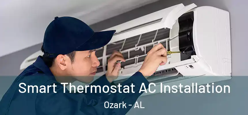  Smart Thermostat AC Installation Ozark - AL