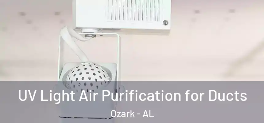 UV Light Air Purification for Ducts Ozark - AL