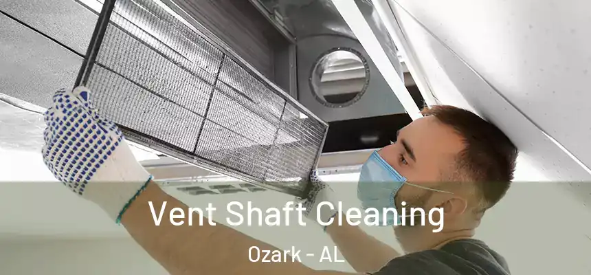  Vent Shaft Cleaning Ozark - AL