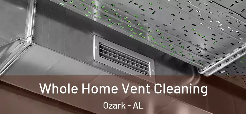 Whole Home Vent Cleaning Ozark - AL