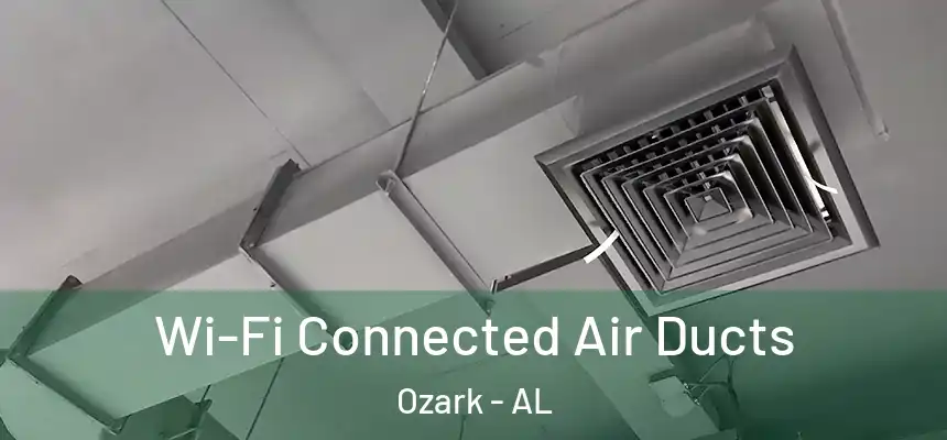 Wi-Fi Connected Air Ducts Ozark - AL